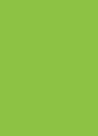 Rectangle vert Rectangle vert